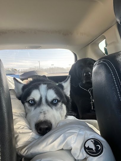 Done Right Dogs LLC