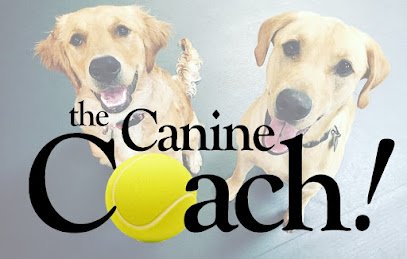 The Canine Coach – NE Minneapolis