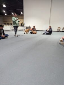 Cloud Nine Training School for Dogs