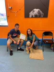 Dakotah’s Doggy Daycare Training Center