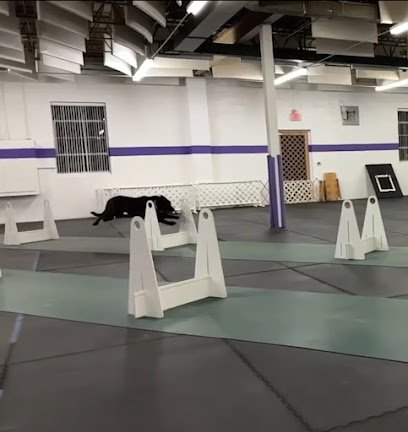 Bloomington Obedience Training Club