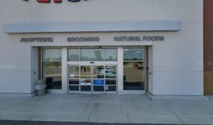 PetSmart Dog Training