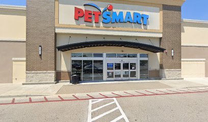 PetSmart Dog Training