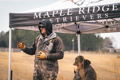 Maple Ridge Retrievers