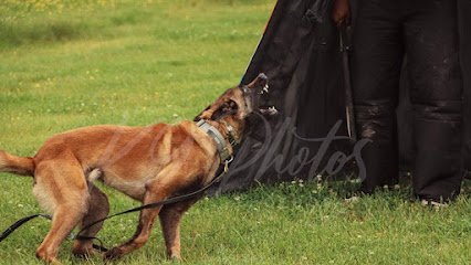 Iron Wolf K9