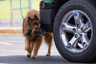 K9 Sniff Club