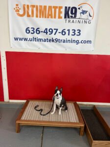 Ultimate K9 Dog Training St. Louis