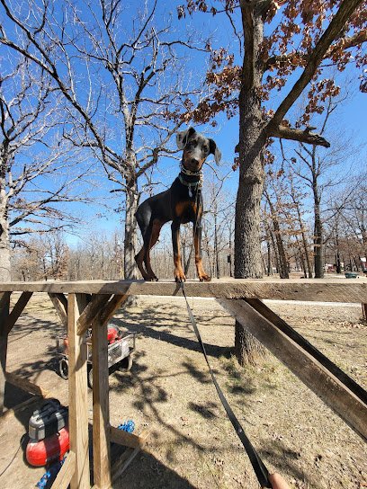 Carpenter K9