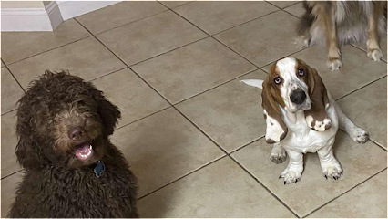 Youngs Dog Training LLC