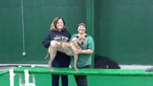 Twin Lakes K9 Academy