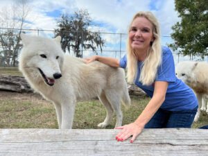 Gentle Dog Training