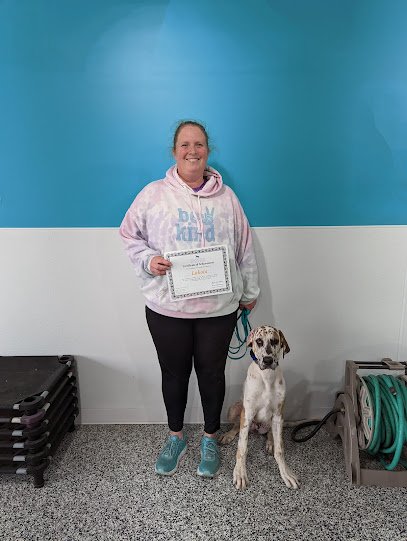 Kansas City K9 Academy – Dog Training & Boarding