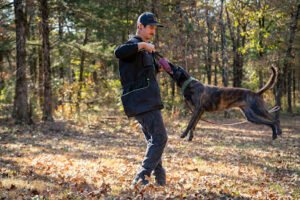 Green-Line K9
