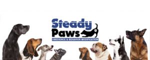Steady Paws