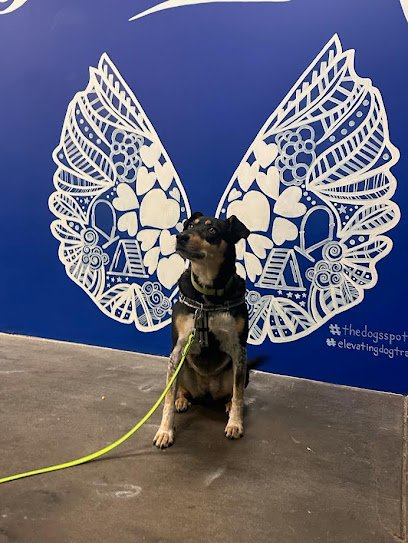The Dogs’ Spot – Dog Training Center and Boutique