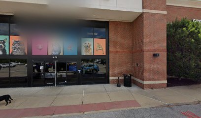PetSmart Dog Training