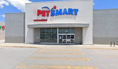 PetSmart Dog Training