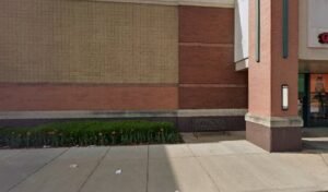 PetSmart Dog Training