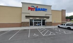PetSmart Dog Training