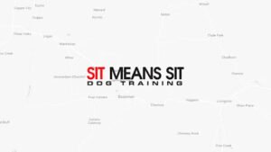 Sit Means Sit Dog Training – Bozeman