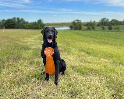 Drake Creek Kennels