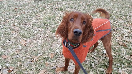 Greater Lincoln Obedience Club