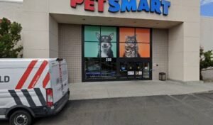 PetSmart Dog Training