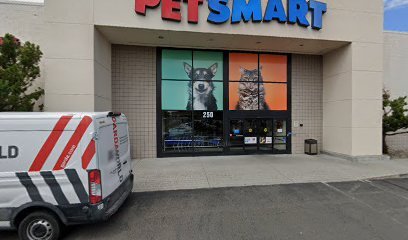 PetSmart Dog Training