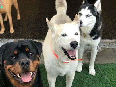Kori’s Muttley Crew Training