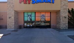 PetSmart Dog Training