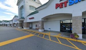 PetSmart Dog Training