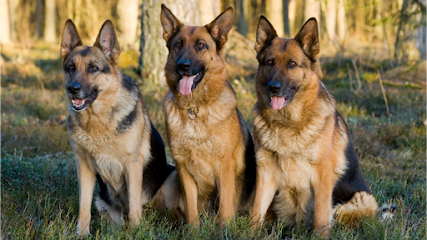 Riverside Canine Center