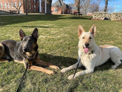 Green Mountain K9