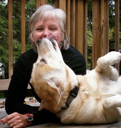 Denise Mazzola’s Everything Dog