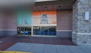 PetSmart Dog Training