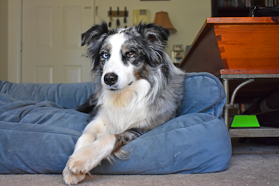 Pawlite Society, LLC
