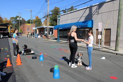 Good Dog Pet Training