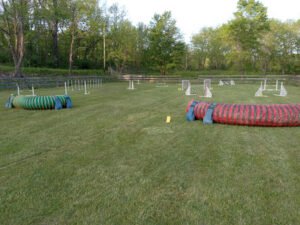 Wantage Dog Dome