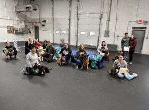 Alpha & Omega Working Dogs – Dog Training