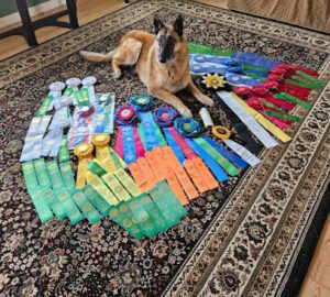 Pinelands K-9 Club
