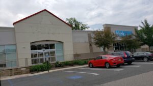 Petco Dog Training