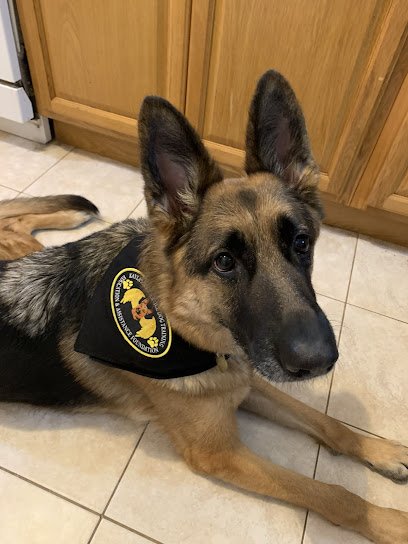 Kayla’s Paws Service Dog Training, Education & Assistance Foundation -Mailbox