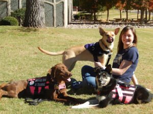 Cloud K-9 Dog Training Services