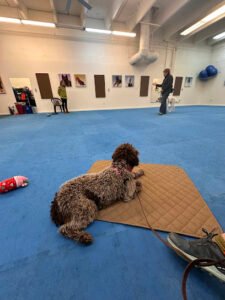 Faithful Friends Dog Training, LLC.