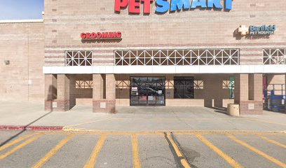 PetSmart Dog Training