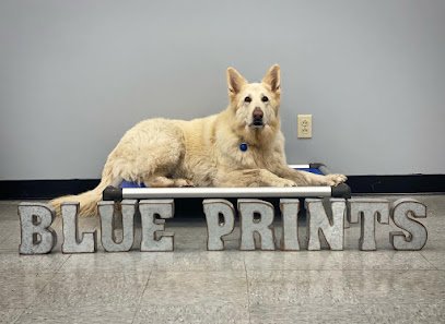 Blue Prints Dog Studio