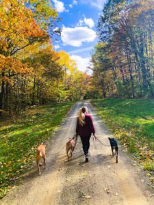 Liggett Dog Training, LLC