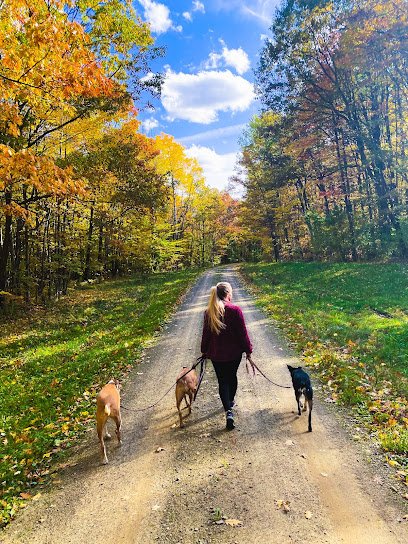 Liggett Dog Training, LLC