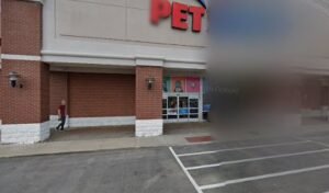 PetSmart Dog Training