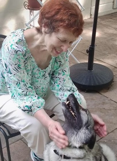 Dog Trainers Connection